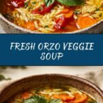 Summery Orzo Soup Recipe