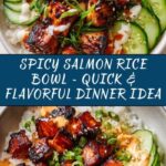Spicy Salmon Rice Bowl Recipe