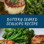 Seared Scallops Recipe