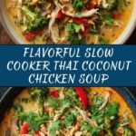 Slow Cooker Thai Coconut Chicken Soup Recipe