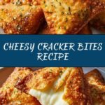 A Cheesy Snack Delight Recipe