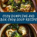 Dumpling and Bok Choy Soup Recipe