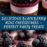 Blackberry Mini Cheesecakes Recipe