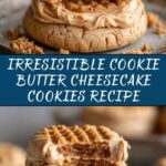 Cookie Butter Cheesecake Cookies Recipe