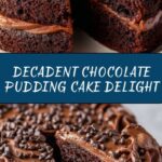 Ridiculous Chocolate Pudding Cake Recipe