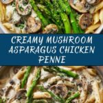 Creamy Mushroom and Asparagus Chicken Penne Recipe