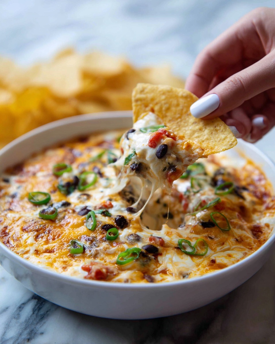 Crock Pot Chicken Nacho Dip Recipe - Recipe Image